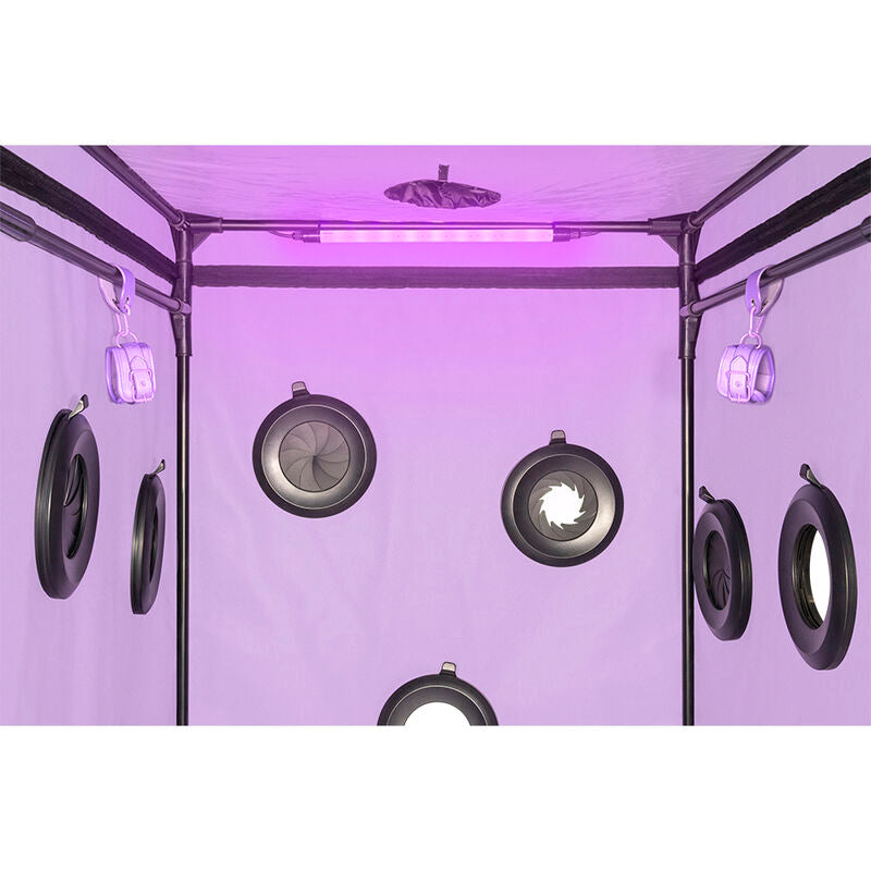 SECRET DOME - ESCÂNDALO ROXO DO CLUBE KINK