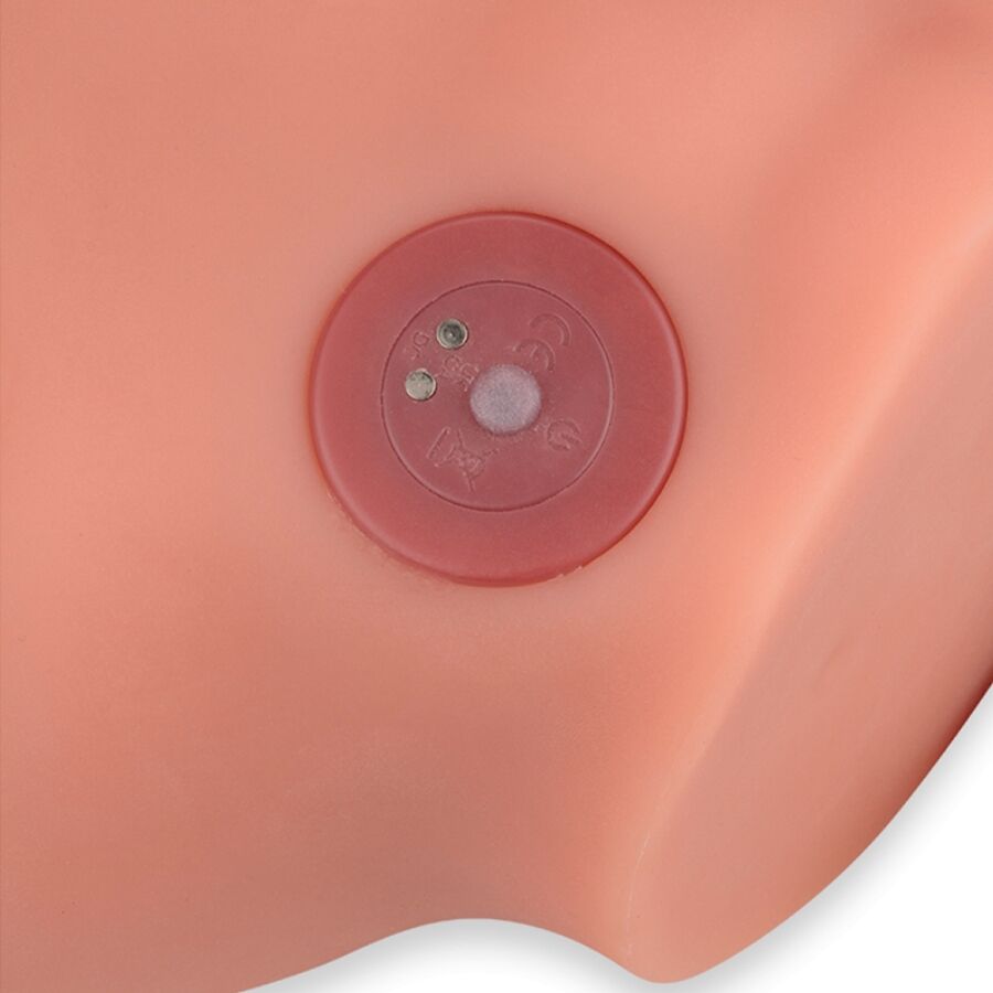 XISE - FREDERICO MASTURBADOR REALISTA DILDO POSIÇÃO FRONTAL COM IMPULSIONAMENTO 15 CM