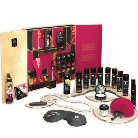 SHUNGA - CALENDÁRIO EXCLUSIVO DE DESEJOS DE 25º ANIVERSÁRIO